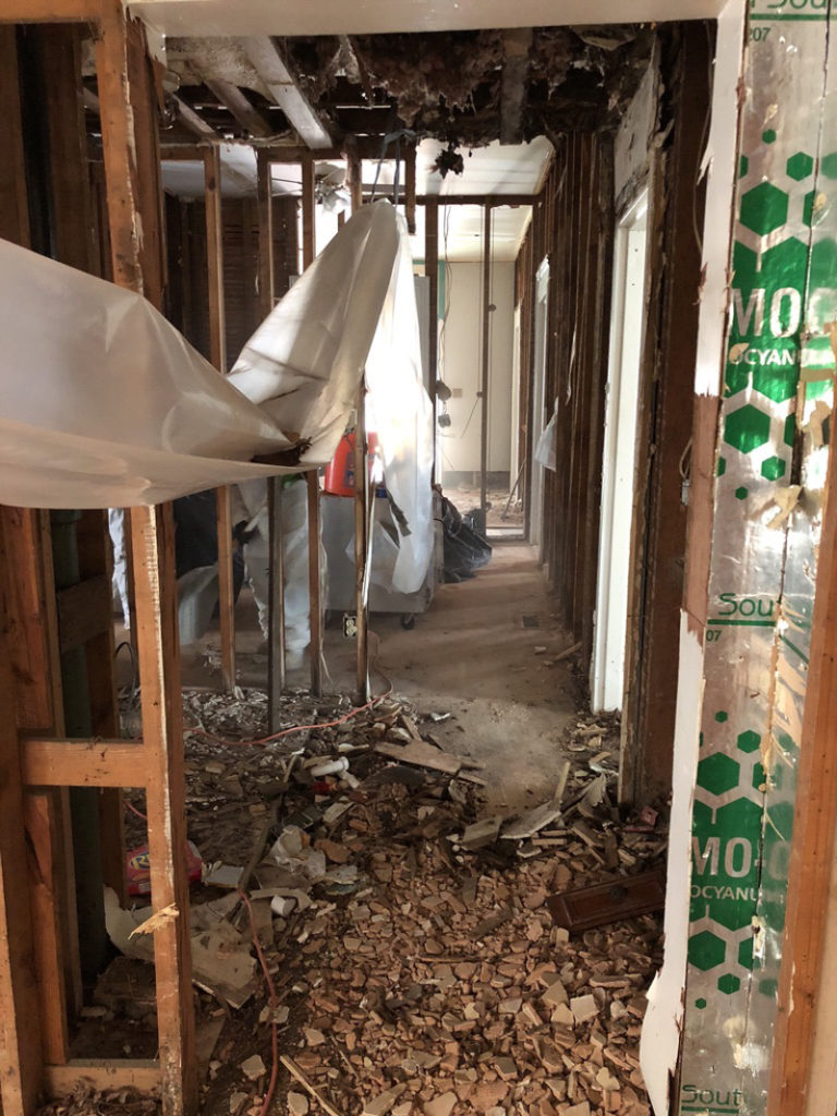 The Monroe House Demo - Mold, Asbestos and Lead - Bower Power