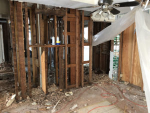 The Monroe House Demo - Mold, Asbestos and Lead - Bower Power