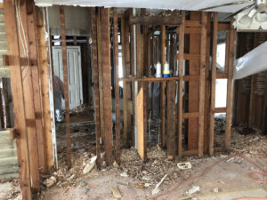 The Monroe House Demo - Mold, Asbestos and Lead - Bower Power