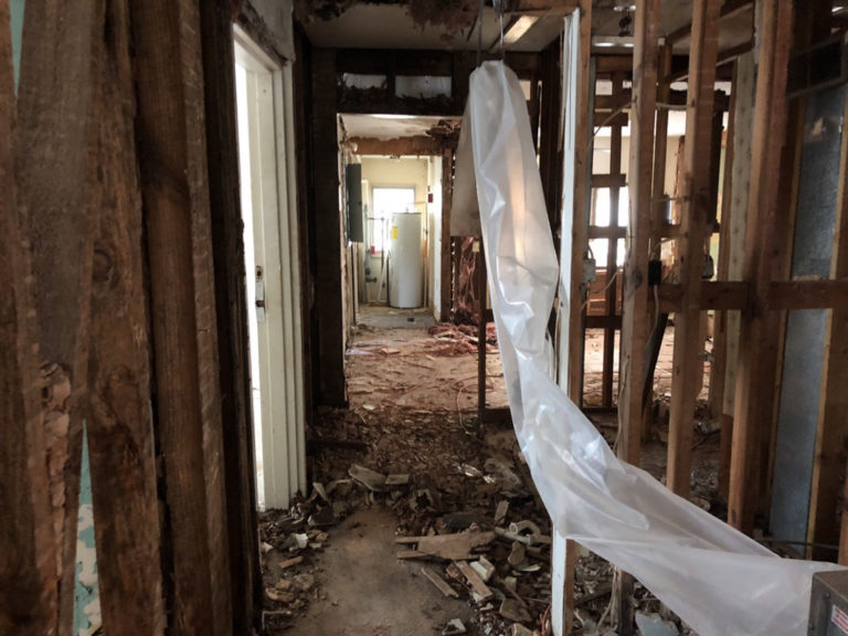 The Monroe House Demo - Mold, Asbestos and Lead - Bower Power