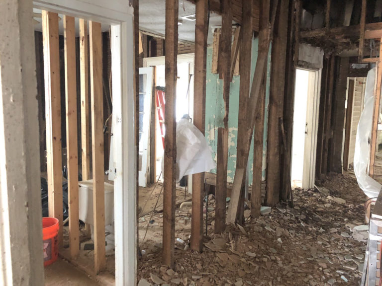 The Monroe House Demo - Mold, Asbestos and Lead - Bower Power